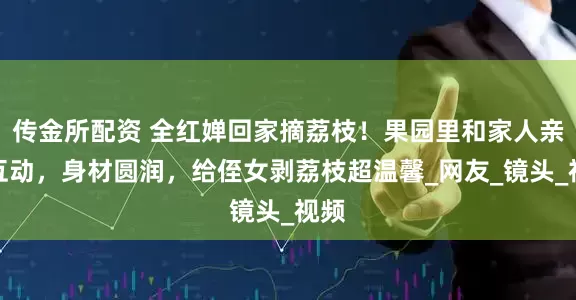 传金所配资 全红婵回家摘荔枝！果园里和家人亲密互动，身材圆润，给侄女剥荔枝超温馨_网友_镜头_视频