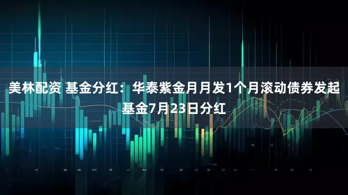 美林配资 基金分红：华泰紫金月月发1个月滚动债券发起基金7月23日分红