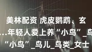 美林配资 虎皮鹦鹉、玄凤鹦鹉……年轻人爱上养“小鸟”_鸟儿_鸟类_女士